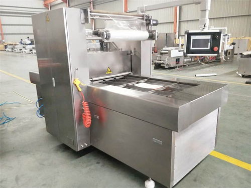 上海雙室擺蓋真空包裝機(jī)聯(lián)系電話 質(zhì)量放心可靠，優(yōu)選諸城廣元機(jī)械設(shè)備